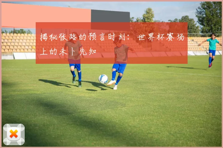 揭秘张路的预言时刻：世界杯赛场上的未卜先知