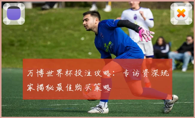 万博世界杯投注攻略：专访资深玩家揭秘最佳购买策略